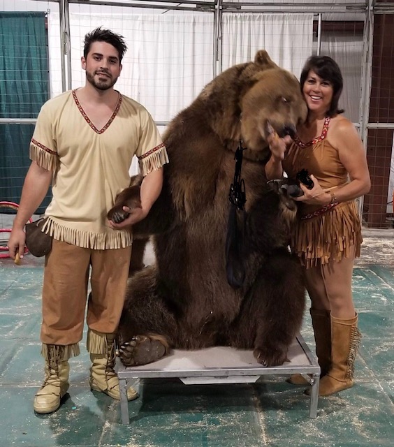bears 3 bears 3