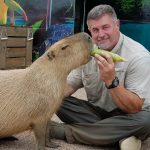 Capybara-square